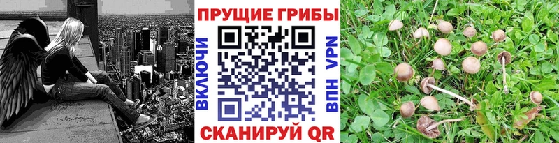 Галлюциногенные грибы MAGIC MUSHROOMS  Сысерть 